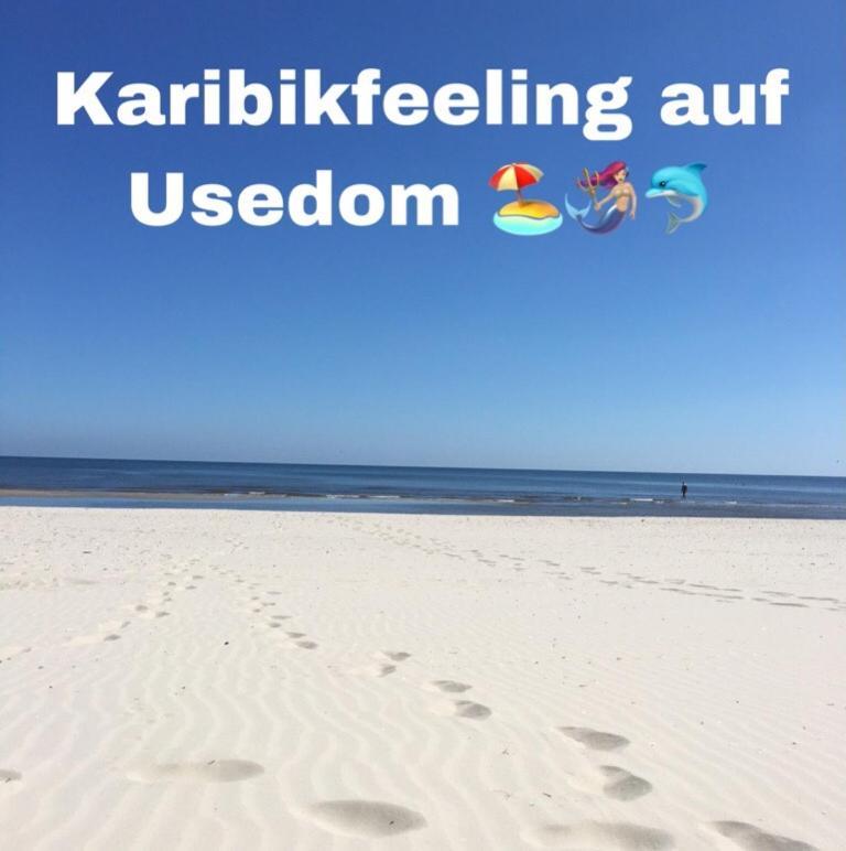 Ferienwohnung Mit Terrasse - Insel Usedom Trassenheide Exteriér fotografie