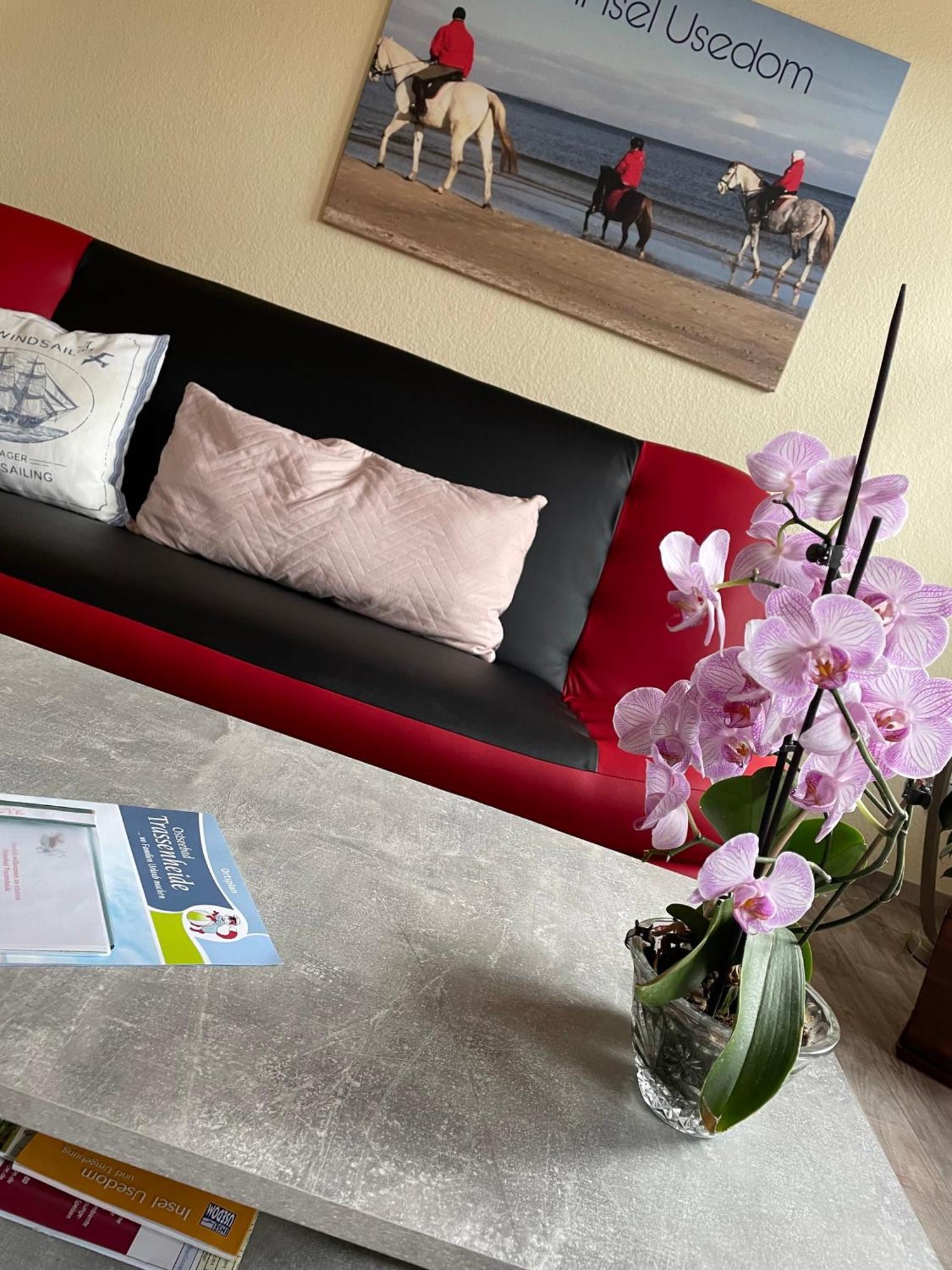 Ferienwohnung Mit Terrasse - Insel Usedom Trassenheide Exteriér fotografie