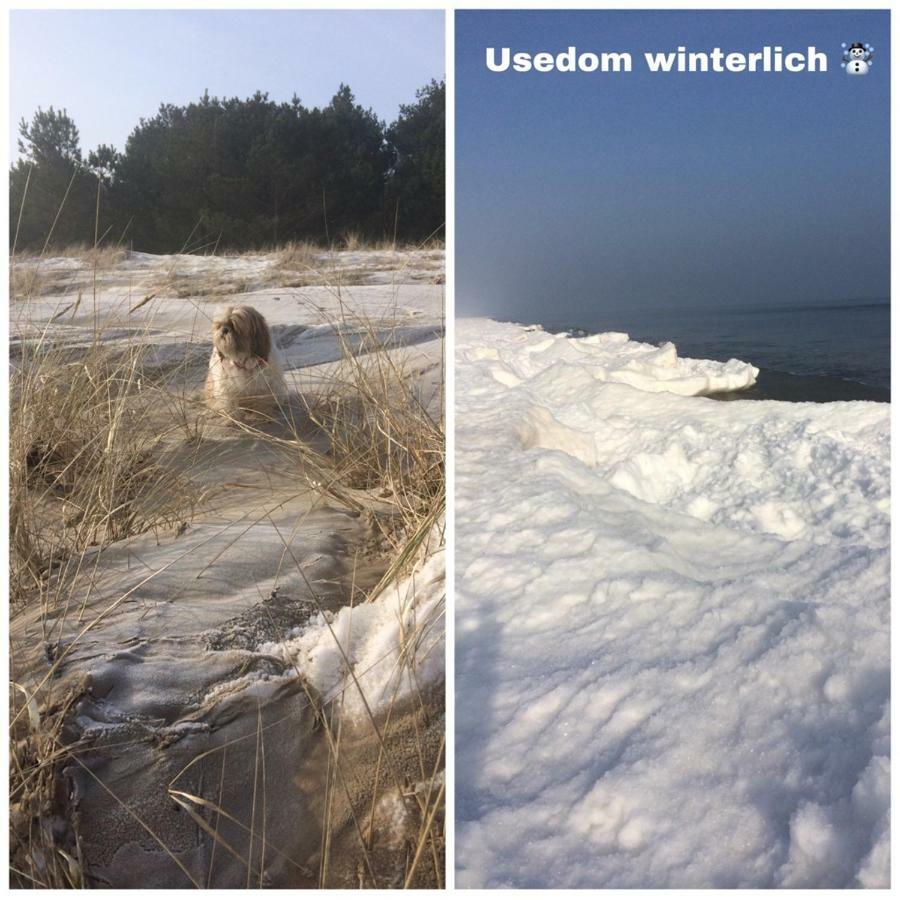 Ferienwohnung Mit Terrasse - Insel Usedom Trassenheide Exteriér fotografie